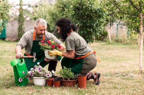 Jardinier devant un ordinateur en train de créer sa vitrine professionnelle