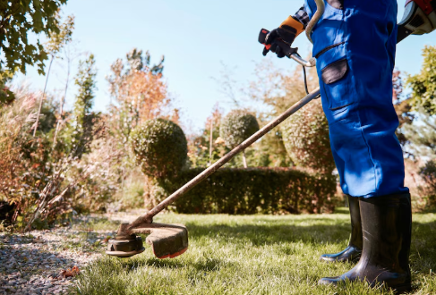 Paysagiste créant sa vitrine professionnelle en ligne
