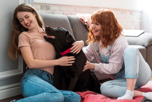 Pet-sitter créant sa vitrine en ligne